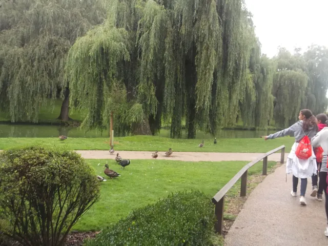 Canterbury: fotografia del mio viaggio