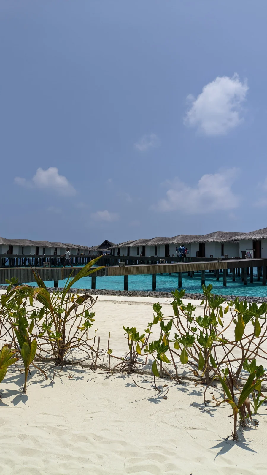 Maldive · fotografia 5 dal mio viaggio
