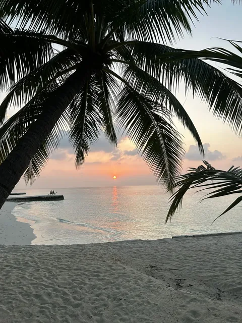 Maldive: il tramonto sulla spiaggia tra le palme